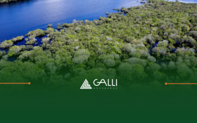 Evolução do Paradigma Científico no Direito Ambiental: dos anos 60 a 2025