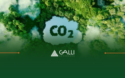 Créditos de Carbono no Brasil: Implicações Trabalhistas e Fundiárias